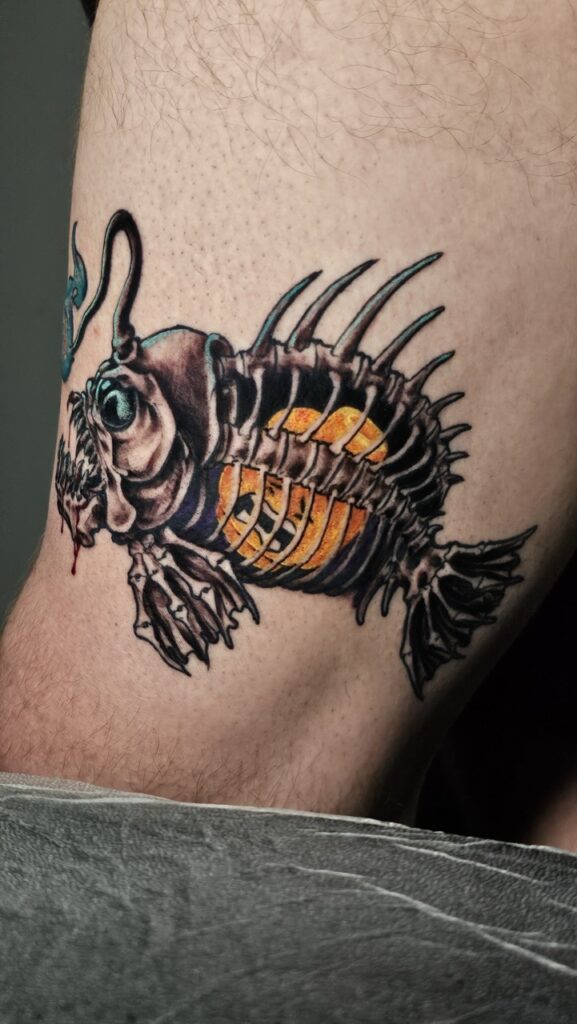 20240227_160039 Large