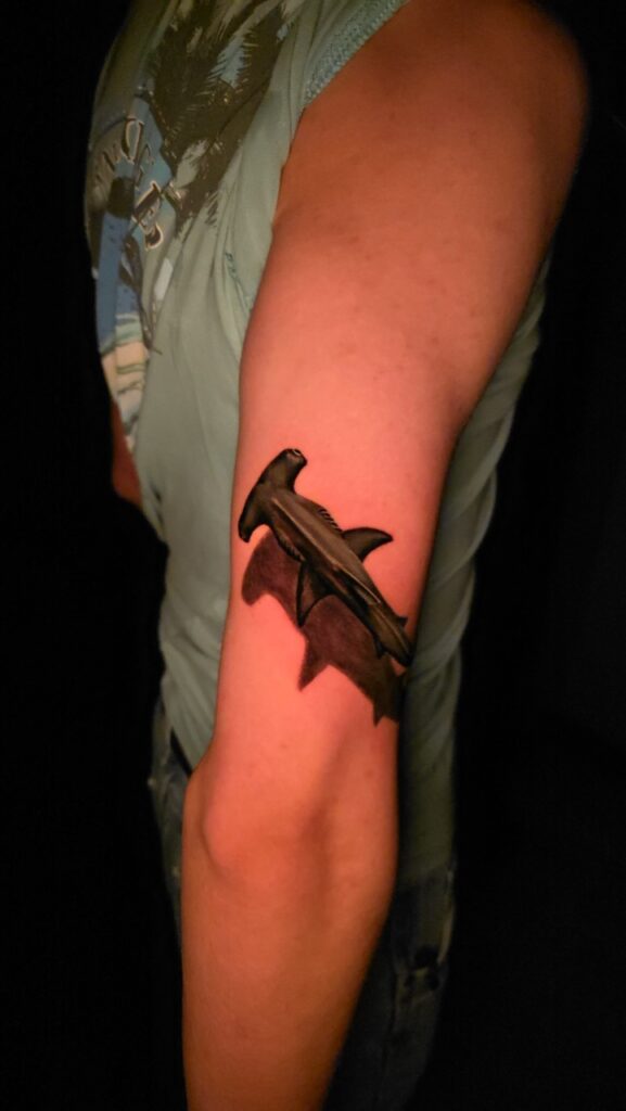 20251229_185306 Large