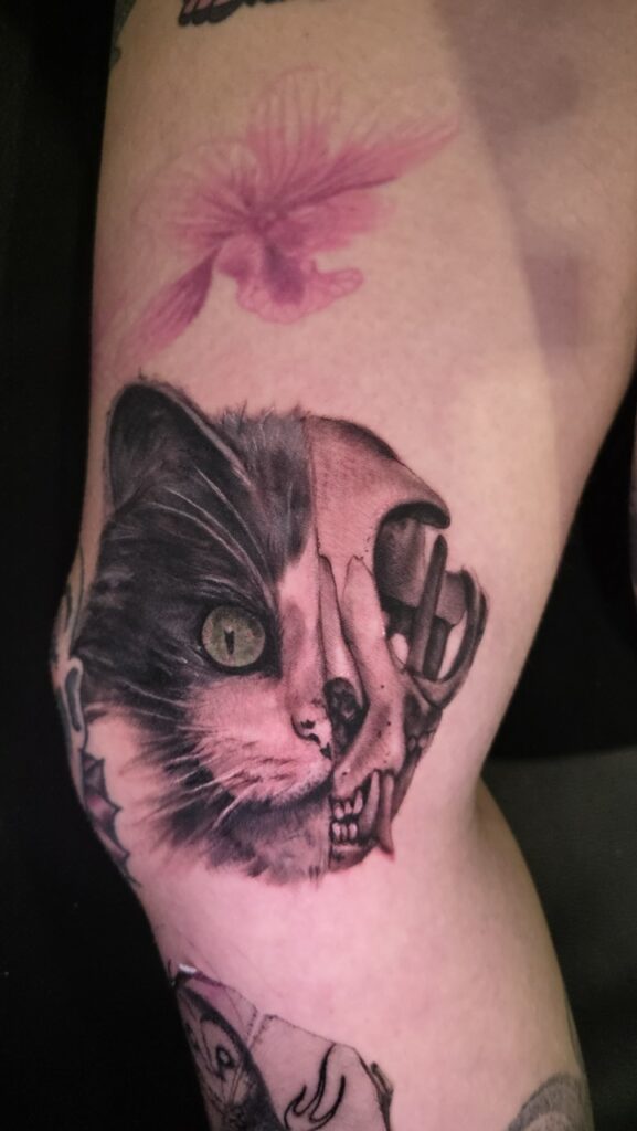 20260125_180031 Large