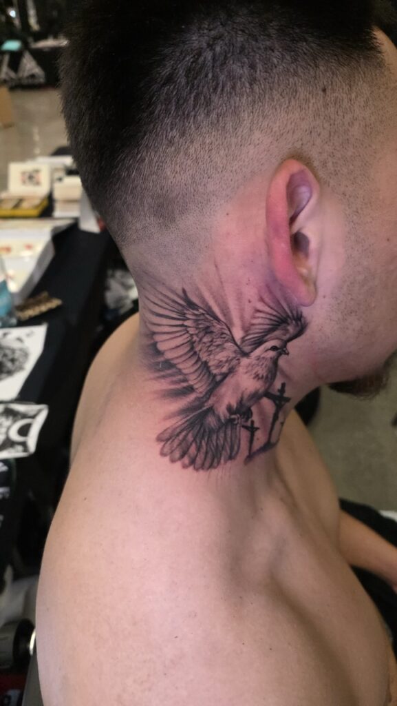 20260307_233253 Large